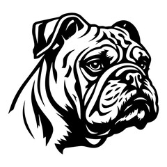 bulldog cartoon on white background illustration