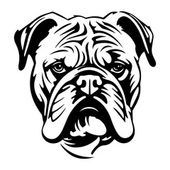 bulldog cartoon on white background illustration