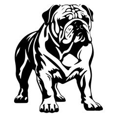 bulldog cartoon on white background illustration