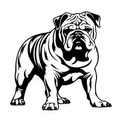 bulldog cartoon on white background illustration