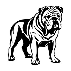 bulldog cartoon on white background illustration