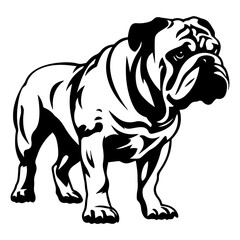 bulldog cartoon on white background illustration