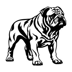 bulldog cartoon on white background illustration