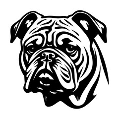 bulldog cartoon on white background illustration