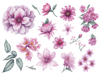 set of watercolor sakura elements on transparent background,  generative ai