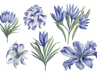 set of watercolor agapanthus flower elements on transparent background,generative ai