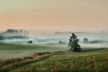 Misty summer morning landscape, Northern Europe