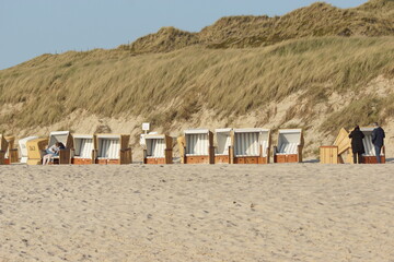 Der Strand von Sylt an der Nordsee Menschen,Tiere,Strandkörbe,Pflanzen
