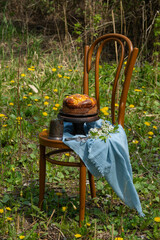 Homemade cake on a chair in a garden of blooming dandelions - 611737935