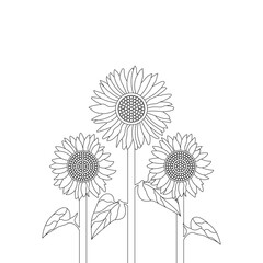 Realistic Sunflower Hand Drawn Vintage Floral Bouquet