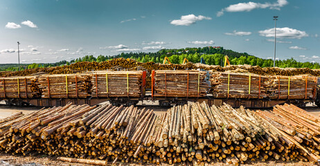 Lagerung, Verladung und Transport von Holzstämmen in der Holzindustrie