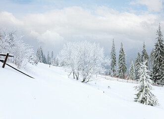 Obraz premium Winter dull country mountain landscape with fence and fir trees.
