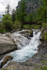 Obraz premium Mountain water stream and waterfall in the green forest with a wooden bridge on a cloudy day. Campiglia Soana (Azaria), Gran Paradiso National Park