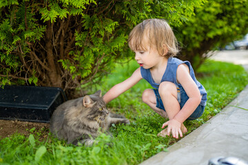 Cute toddler boy stroking a friendly cat outdoors on sunny summer day
