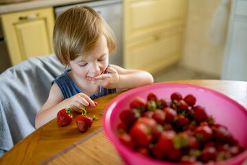 Cute little toddler boy eating strawberries at home. Fresh organic frutis for infants.