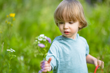 Adorable toddler boy having fun outdoors on sunny summer day. Child exploring nature. Summer activities for kids.