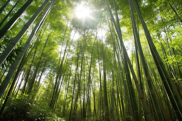 Obraz na płótnie Canvas Lush green tropical forest landscape with tall bamboo stalks, sunlight filtering through leaves. Generative AI