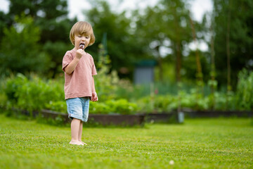 Cute toddler boy eating tasty fresh ice cream outdoors on warm sunny summer day. Children eating sweets.
