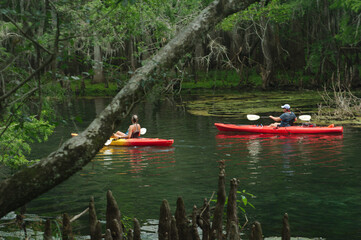 Kayaking in the  Manatee Springs State Park in Florida. Sunny day calm  waters and green trees. 