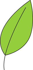 tropical leaf illustration