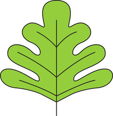 tropical leaf illustration