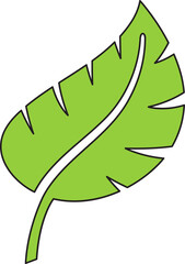 tropical leaf illustration