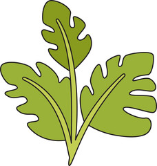 tropical leaf illustration