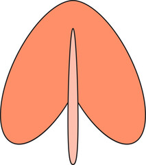 autumn leaf illustration