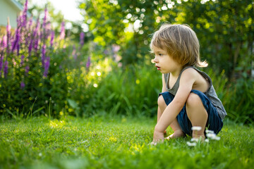 Naklejka na ściany i meble Adorable toddler boy having fun outdoors on sunny summer day. Child exploring nature. Summer activities for kids.