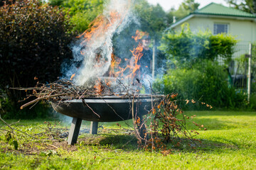 Burning dry branches in the garden on spring day. Cutting and trimming trees and bushes, removing...