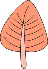 autumn leaf illustration