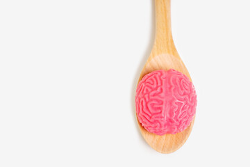Large Wooden Spoon with a Human Brain Model