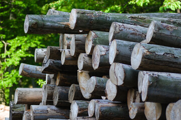 stack of firewood