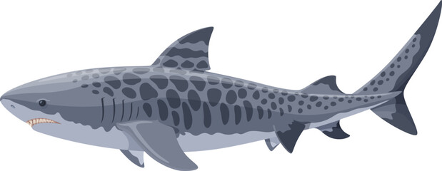 Tiger shark swimming side view vector illustration isolated on white background