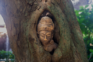 Wooden buddha statue, The head of the Buddha in the cavity of the tree, Pattaya, Thailand,...
