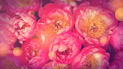 Obraz na płótnie Canvas Pink roses floral pattern background
