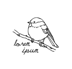 Vector card with hand drawn little bird on a tree branch. Ink drawing, beautiful animal design elements. Logo template