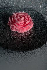 Shiny water drops on black surface, background. Beautiful pink candle rose flowers through the...