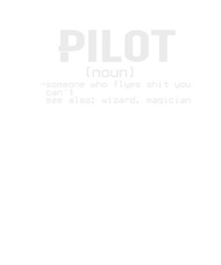 Pilot (Noun) - someone who flies also: wizard, magic