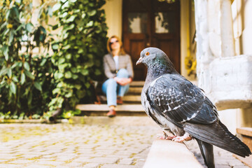 Dove looks at a seated person