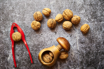 orzechy włoskie ,Juglans regia L.