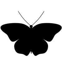 Butterfly Silhoeuttes