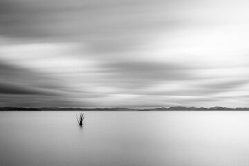 Minimalist view of fishing net poles on a lake, with perfectly still water and empty sky at dusk - 611780197