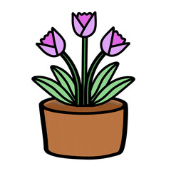 pink flower in a pot