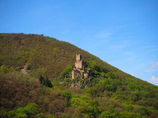 Fototapeta na wymiar Castel view from Rhine