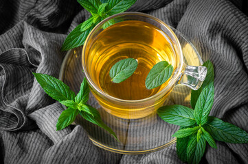 Cup of mint tea with fresh green mint leaves on rustic table, healthy herbal hot drink © mescioglu