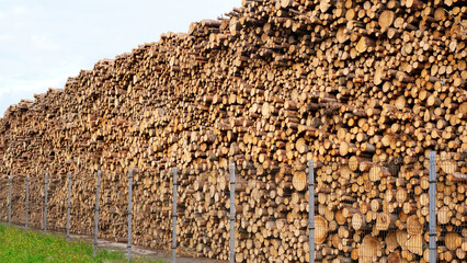 A large number of pine logs stacked neatly in a warehouse in open air territory