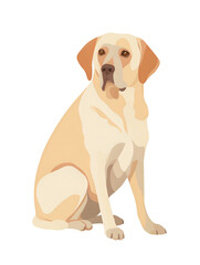 Obraz premium golden retriever dog