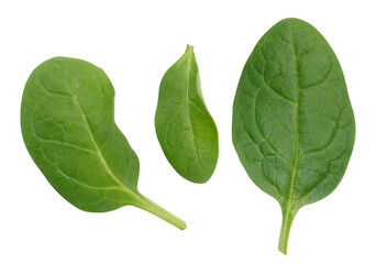 Green spinach leaves on a white isolated background, an ingredient for salad