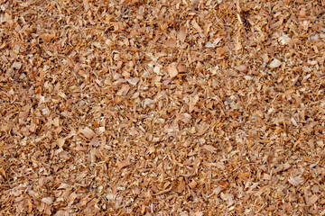 Textura de serragem de madeira